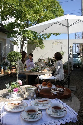 IMG_8799.jpg