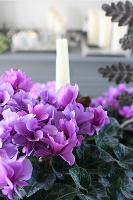 IMG_9258.jpg