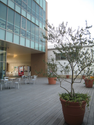 IMG_1750.JPG