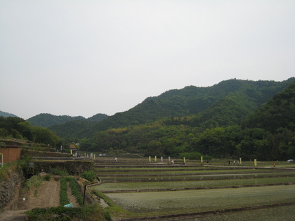 IMG_3724.JPG