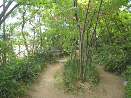 IMG_4037.JPG