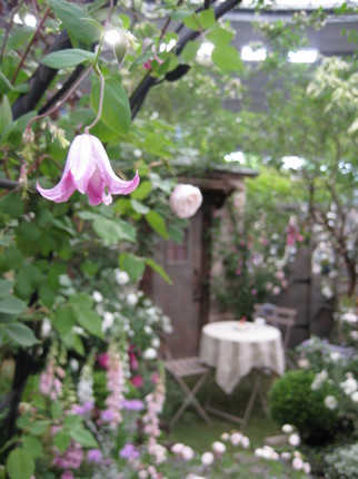 IMG_4784.JPG