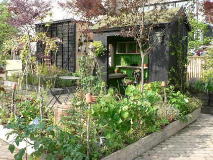 010.JPG