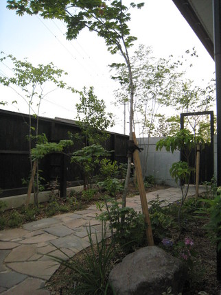 IMG_5053.JPG