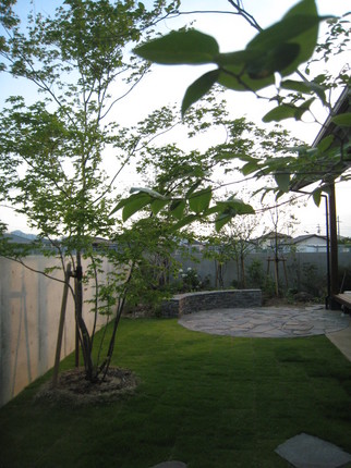IMG_5040.JPG