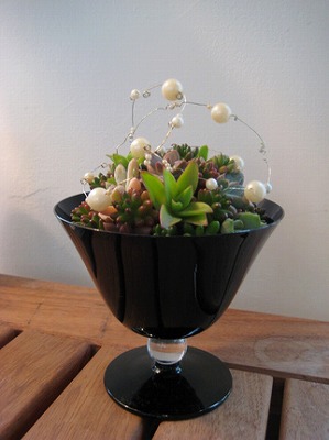 gardenerscafe-2-2009-07-28T00_29_41-1-thumbnail2[1].jpg