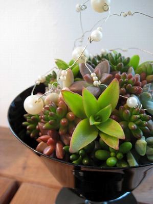 gardenerscafe-2-2009-07-28T00_29_41-2-thumbnail2[1].jpg