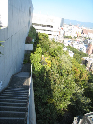 IMG_6111.JPG
