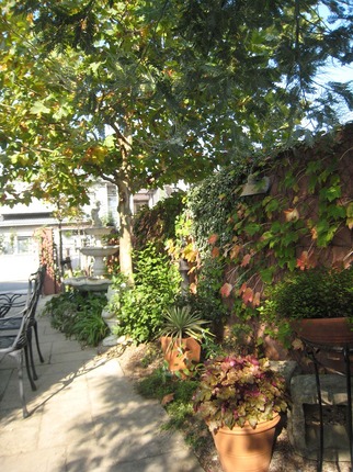 IMG_7084.jpg