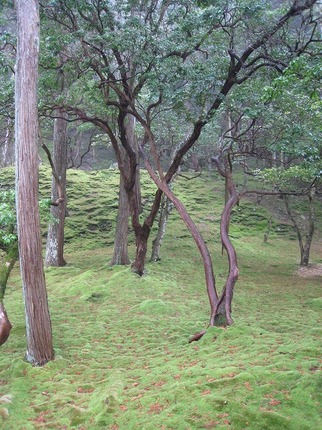 s2010 037.jpg