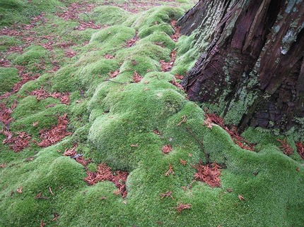 s2010 015.jpg