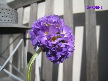 IMG_8899.jpg