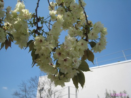 IMG_9479.jpg