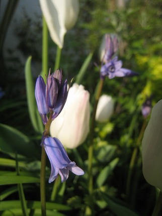 IMG_9772.jpg