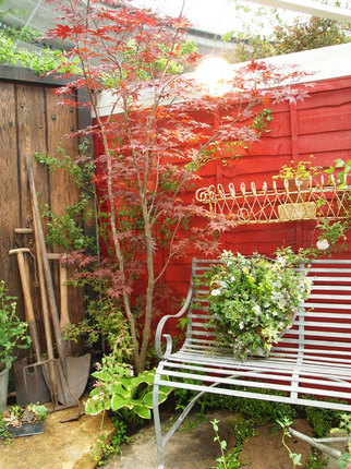kokubara11.jpg