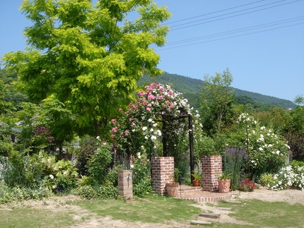 DSC07328.jpg