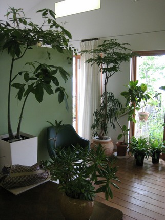 s-IMG_7326.jpg