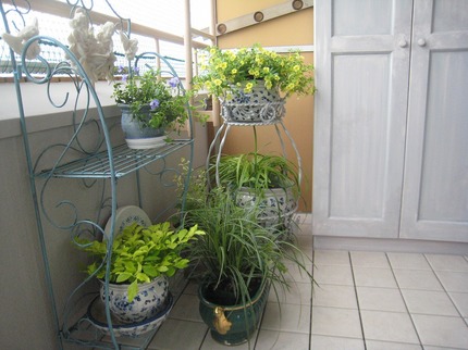 s-IMG_1123.jpg