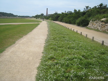 IMG_1427.jpg