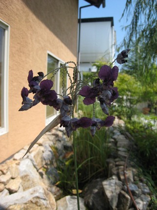 s-IMG_5545.jpg