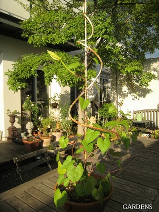 s-IMG_2590.jpg