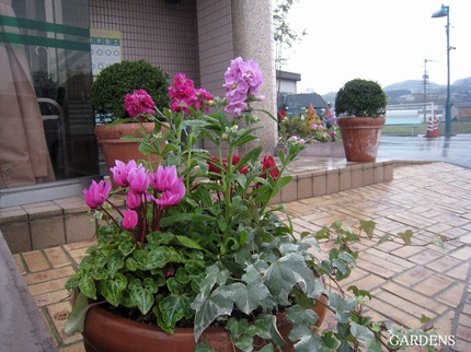 s-IMG_3890.jpg