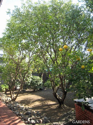 s-IMG_3907.jpg