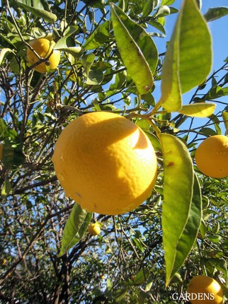 s-IMG_3922.jpg