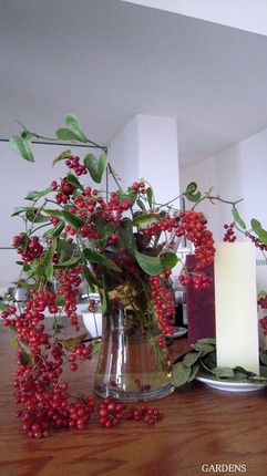 s-IMG_3986.jpg