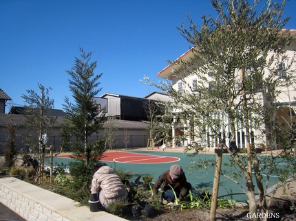 s-IMG_4651.jpg