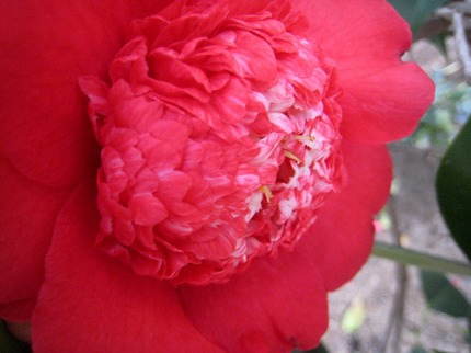 s-IMG_5623.jpg