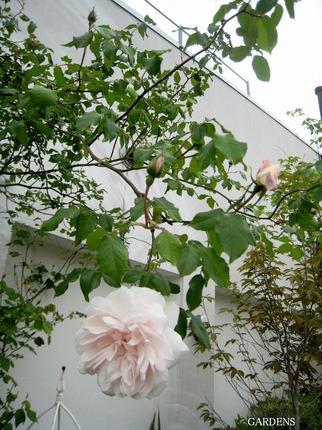 s-IMG_6611.jpg