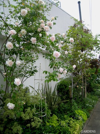 s-IMG_6946.jpg