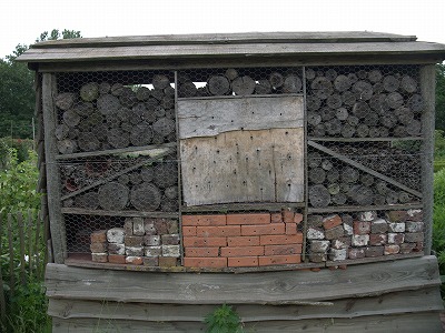 s-009-P1040072.jpg