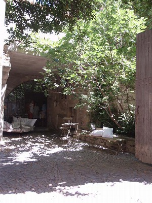 s-100_2247.jpg