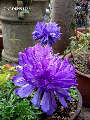 s-2011.2.1 009.jpg