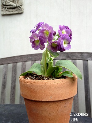 s-2011.2.1 012.jpg