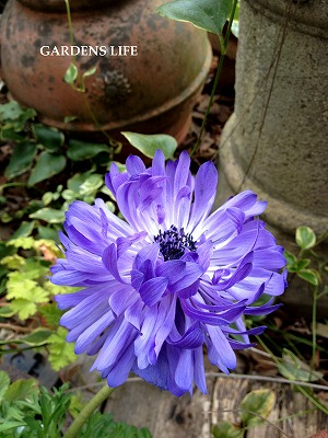 s-2011.2.1 015.jpg