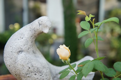 s-8.18 071.jpg