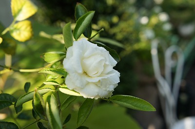 s-8.18 079.jpg