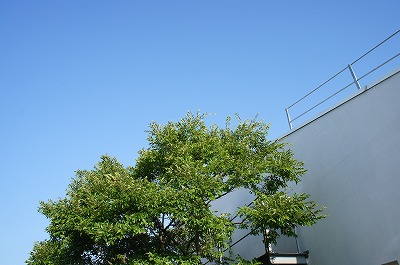 s-8.18 176.jpg