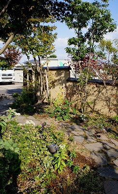 s-DSC00204.jpg