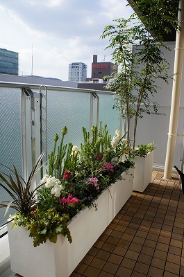 s-DSC00422.jpg