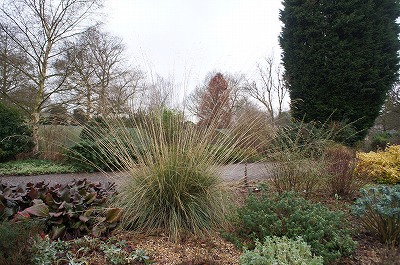 s-DSC00906.jpg