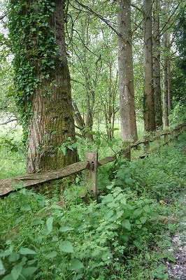 s-DSC02885.jpg