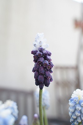 s-DSC08652.jpg