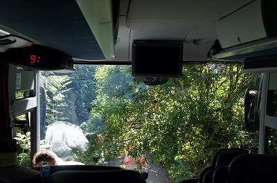 s-CMX 765.jpg