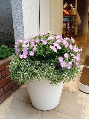 s-V[o 856.jpg
