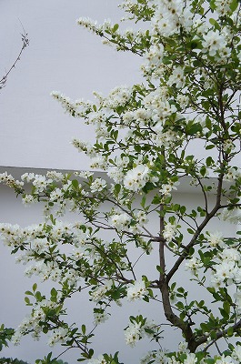 s- 044.jpg