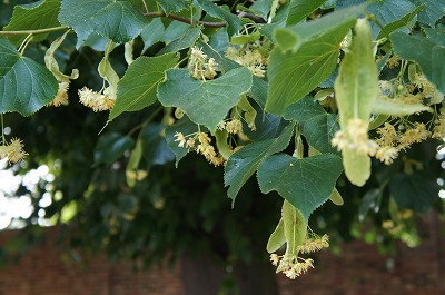 s-2013 1127.jpg